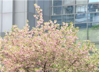 世界读书日 智慧电子阅读架起知识桥梁